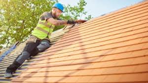 Best Roof Moss and Algae Removal  in Bridgeport, OH