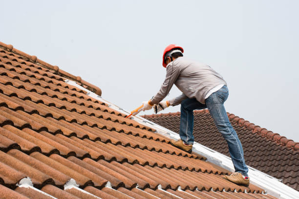 Best Metal Roofing Installation  in Bridgeport, OH